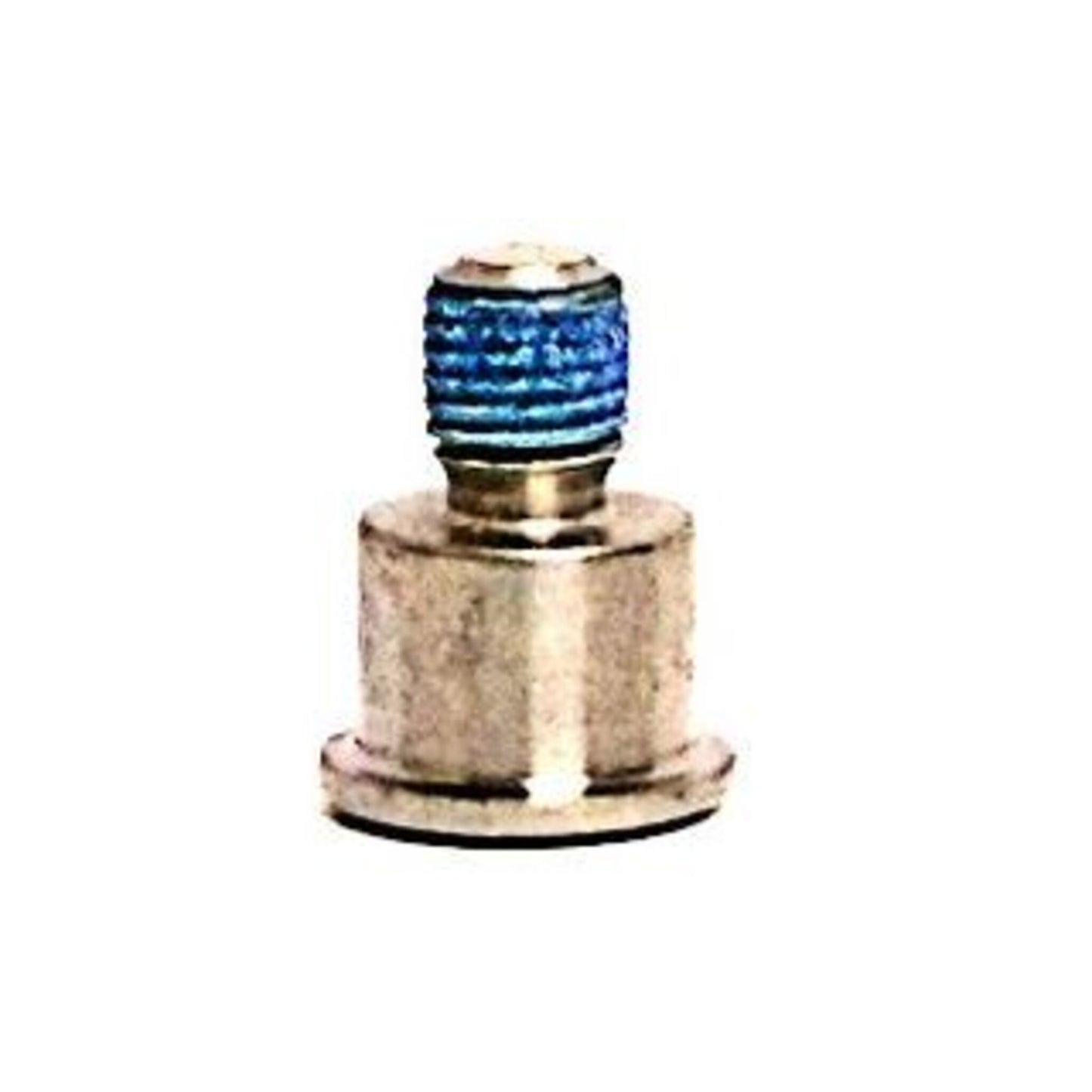 Titanium Pivot Bolt for Formula T1 Racing Lever