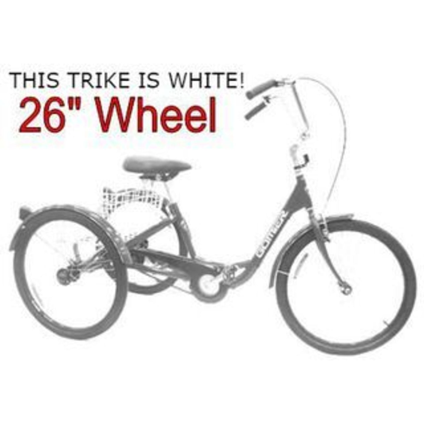 Gomier Australia Designed TRIKE 26" with 3-Speed Coaster NEXUS - Pristine WHITE
